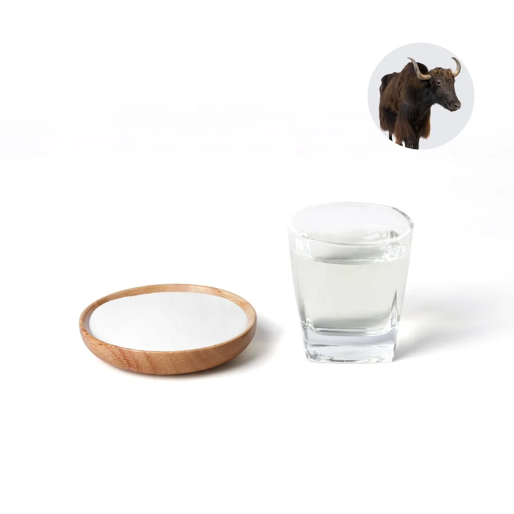 
Healthy bovine yak bone collagen extract protein hydrolysed peptides animal extract powder 