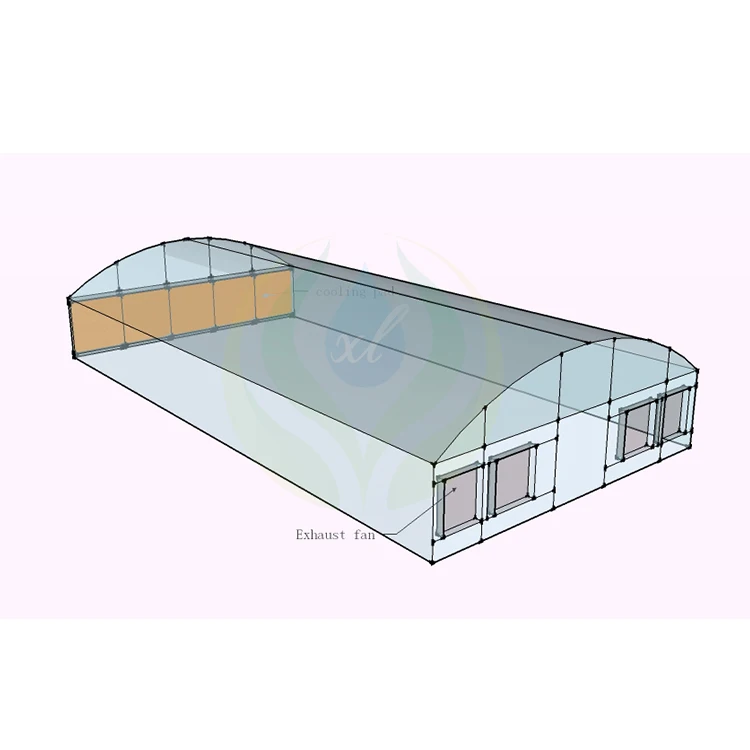 MYXL Industrial Commercial Economic Tunnel Plastic Greenhouse for Vegetable