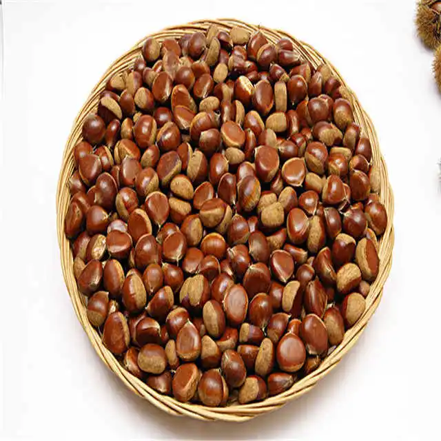 Become a supplier 100% Top quality fresh chestnuts/organic chesnuts for Export