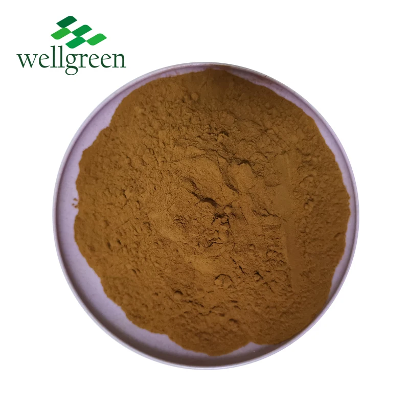 
Chaga Siberian Inonotus Obliquus Phaeoporus Obliquus Extract Powder 