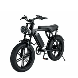 Factory direct 48V 15Ah Lithium Battery 750w 1000w 20 inch electric fat tire bike