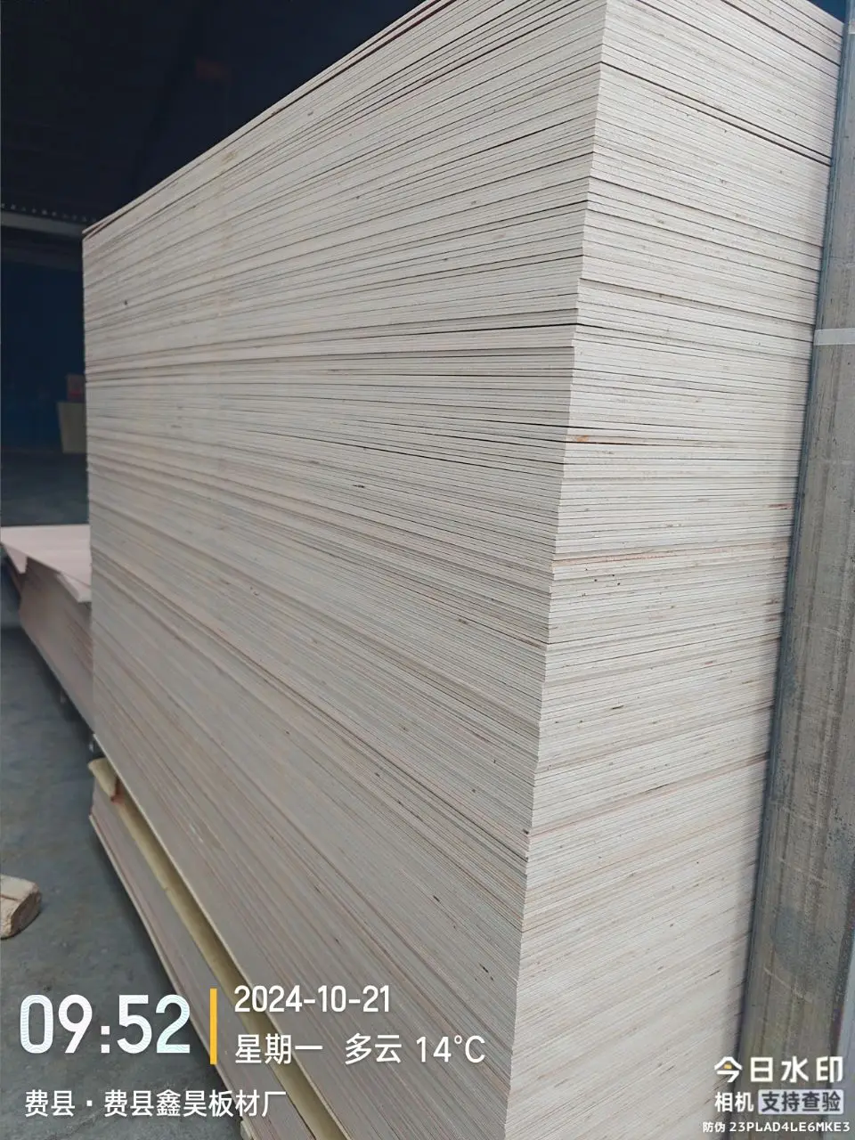 Custom Size AA Natural Plywood Furniture Pine Edge Glued Board Sapele Faced Laminated Plywood Price For Furniture