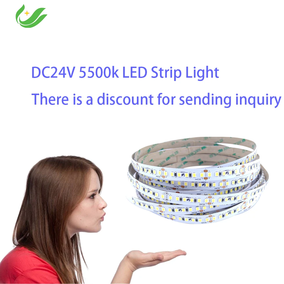 Customized Professional   3000k 4000k 5000k 6000k DC24v Waterproof Flexible Led Light Strip