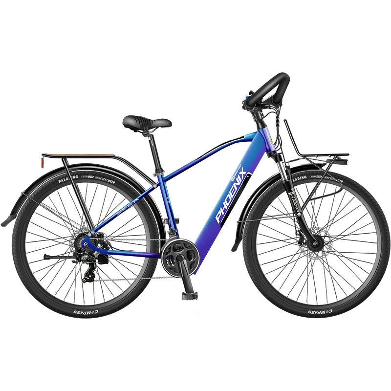 29 Inch Frame Powerful Motor 36v 350w Enduro e-Bike Fast Electric Mountain Bicycle