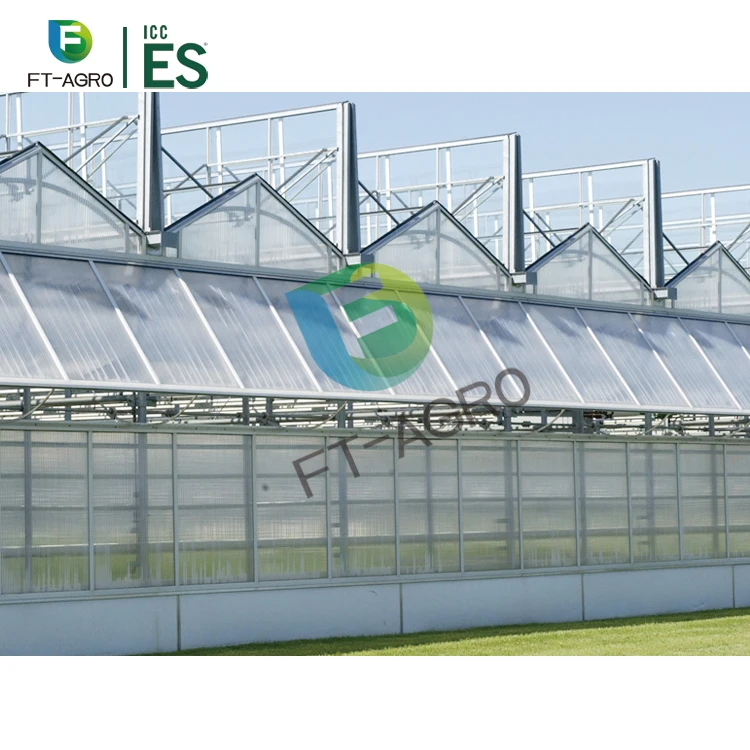 Low cost greenhouse polycarbonate greenhouse for sale