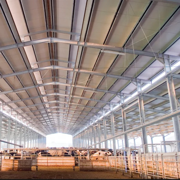 design building steel structure cow house cattle shed farm