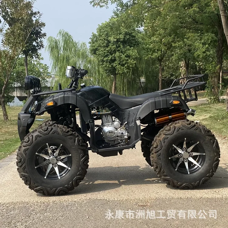 Hot Selling 250cc 400CC Motorcycle 4x4 atv 4 stroke Gasoline Quad ATV Beach Buggy Disc Break Automatic for Adult