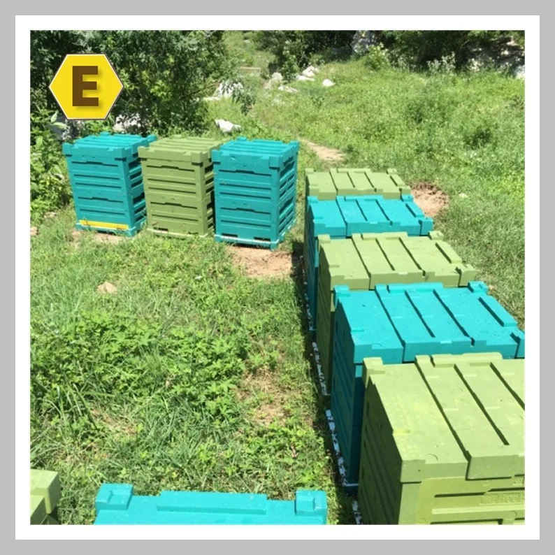  Пчеловодства оборудование EPS двойные слои в виде пчелиных сот с пластиковый ящик пчелы пчелиный улей
