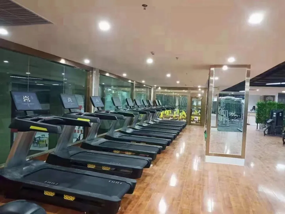 New Arrival Adjustable Treadmill Machine Cardio Exercise Gym Treadmill Matrix Treadmill For Sale