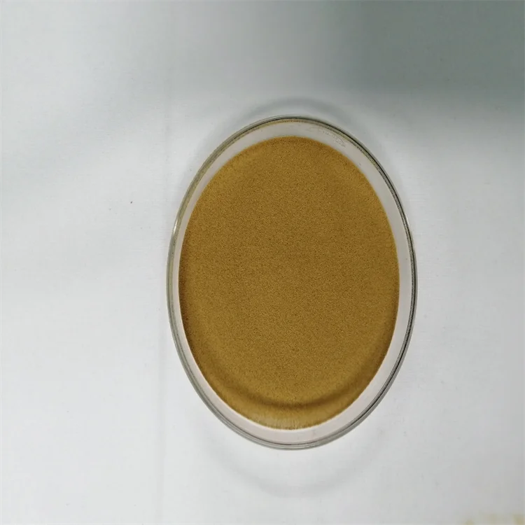 Saccharomyces Cerevisiae Yeast