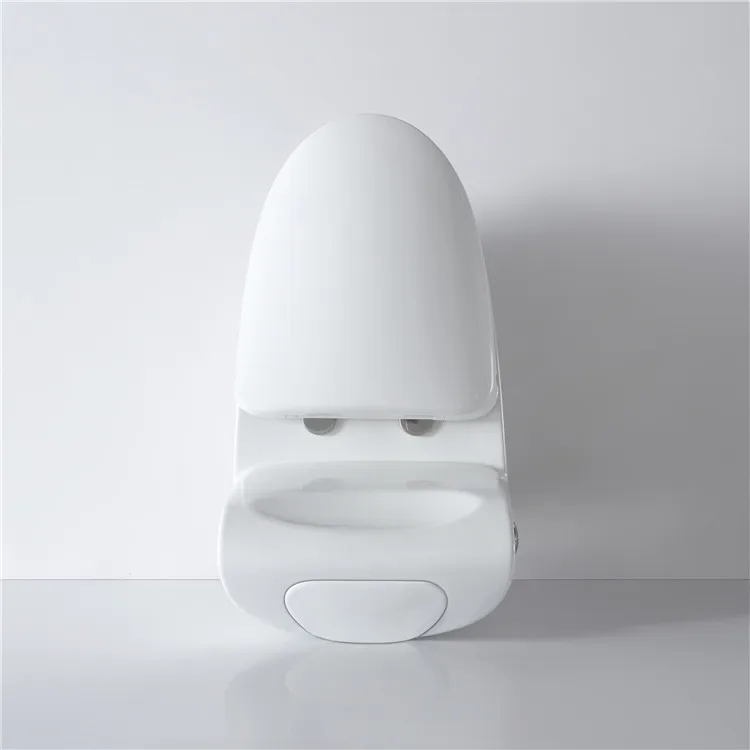 Porcelain Sanitary Ware Inodoro Floor Mounted Commode Bathroom Wc Siphonic Flush One Piece Toilet