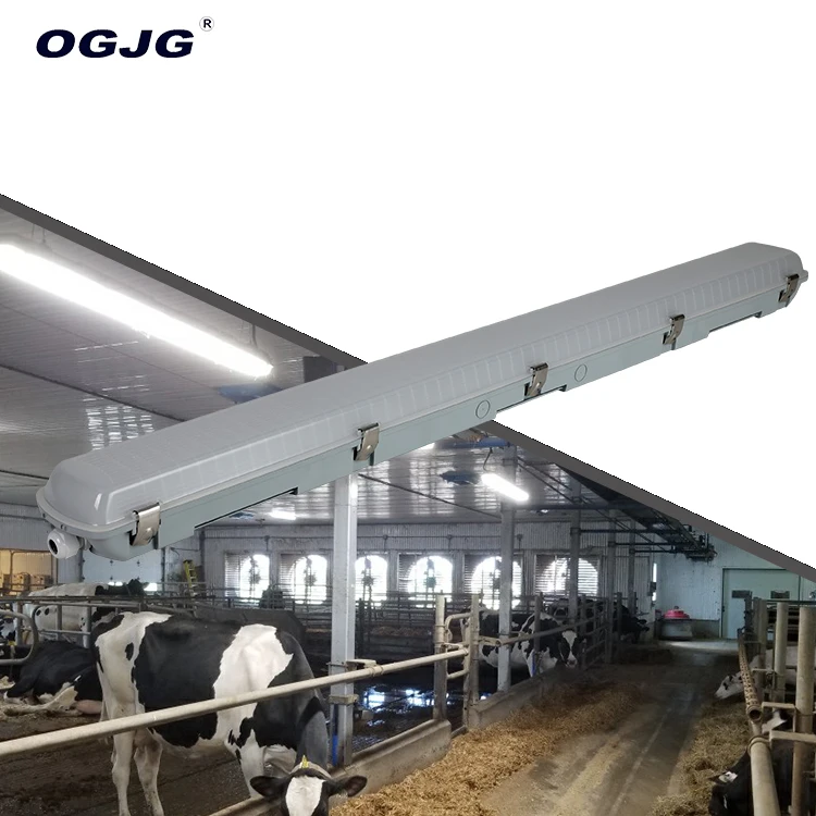 OGJG IP66 соединяемая водяная лампа с затемнением домашняя птица освещение светодиодные лампы
