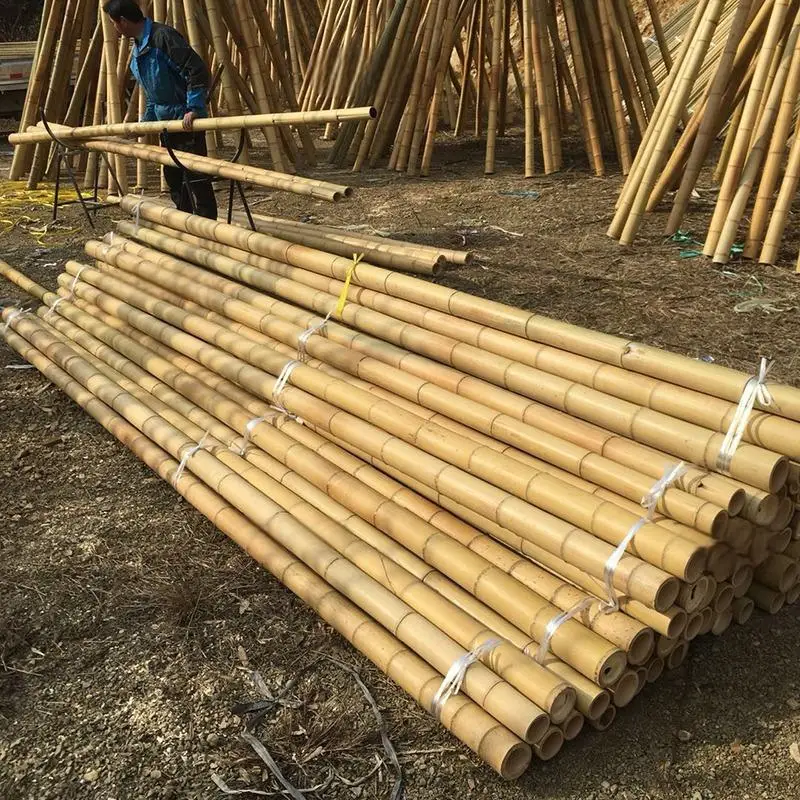 Natural Eco-friendly Moso Bamboo Poles For Garden Fence