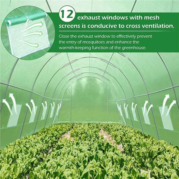 6x3x2 cm Winter Season Portable poly tunnel Greenhouse galvanized Steel Frame Agricultural greenhouse