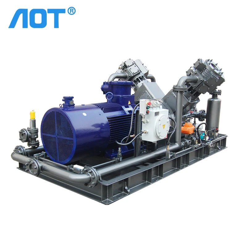 Explosion-proof motor coupling piston biogas compressor Methane CH4 gas compressor  for hot sale