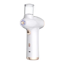 Private label beauty instrument equipment face steamer mist nanometer spray electric nano mist face led light therapy with spray