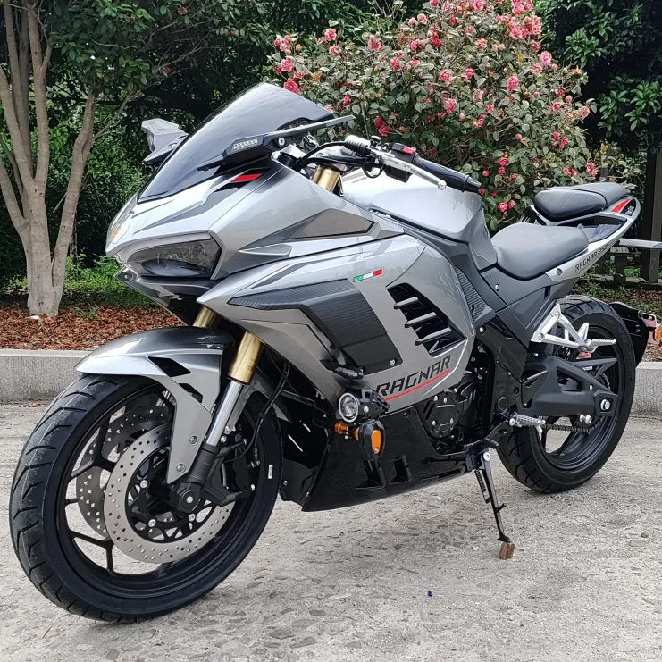 250CC Motorcycle Newest Street Legal Natural  400CC EFI ABS off road Gas Power Racing Motorcycle