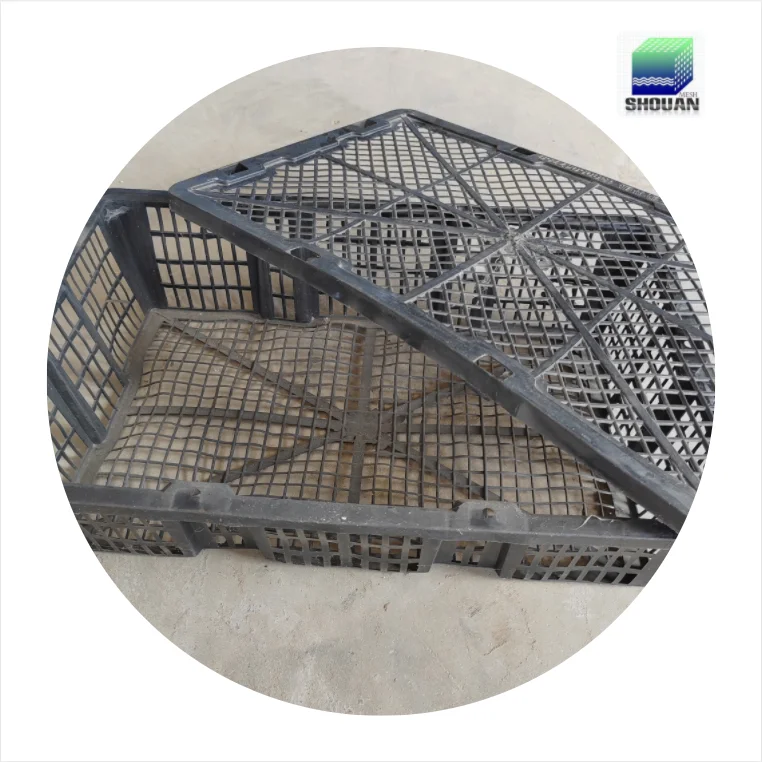 Best price hot selling one-time Abalone crate /basket used to sell abalone