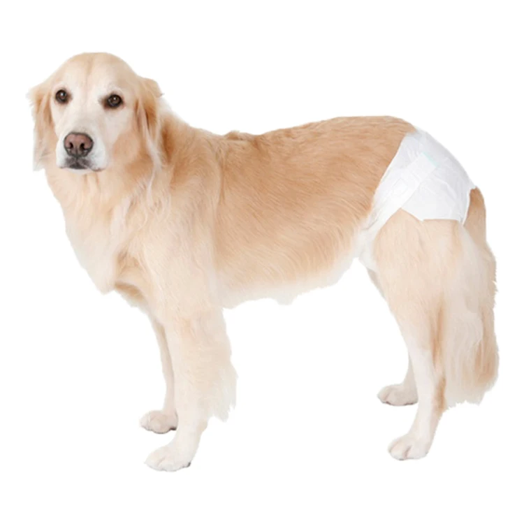 Bamboo Dog Pet Mini Female Cheap Baby Duck Diaper Charcoal Diaper Nappy for Male Disposable Printed 20 FT Container Japan Brand