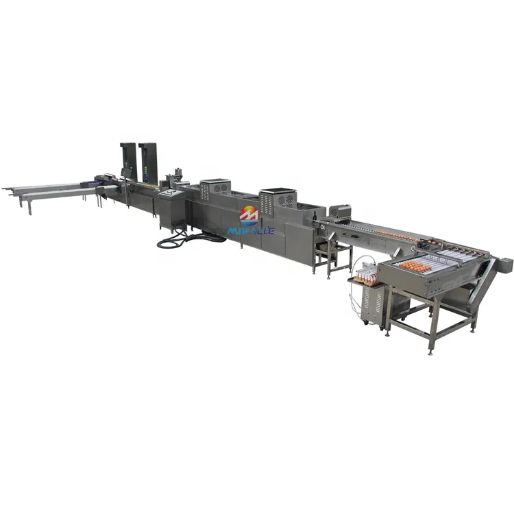 Cost Effective Industrial Electronic Egg Weight Sorter Machine