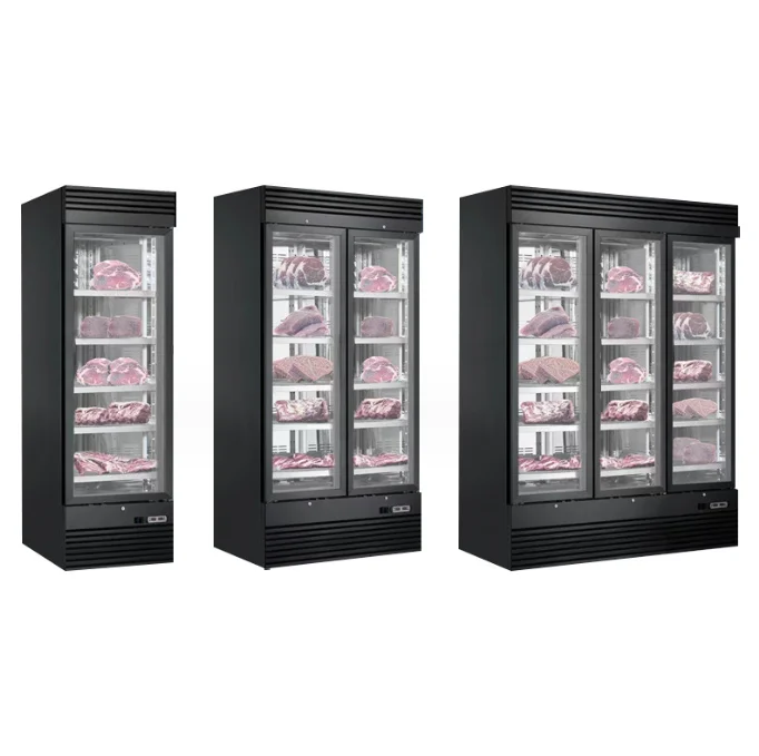 Age Dry Fridge Dry Aged Beef Fridge Dry Age Meat Fridge Freezers Stainless Steel Maturation Machine Dry Ager Cabinet