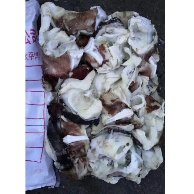 Wholesale High Quality Frozen Squid Neck From Peru Manufacture