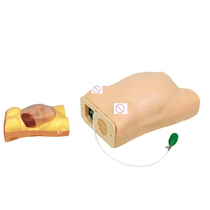 Maternity Examination Simulator Pregnancy Manikin Auscultation Teaching