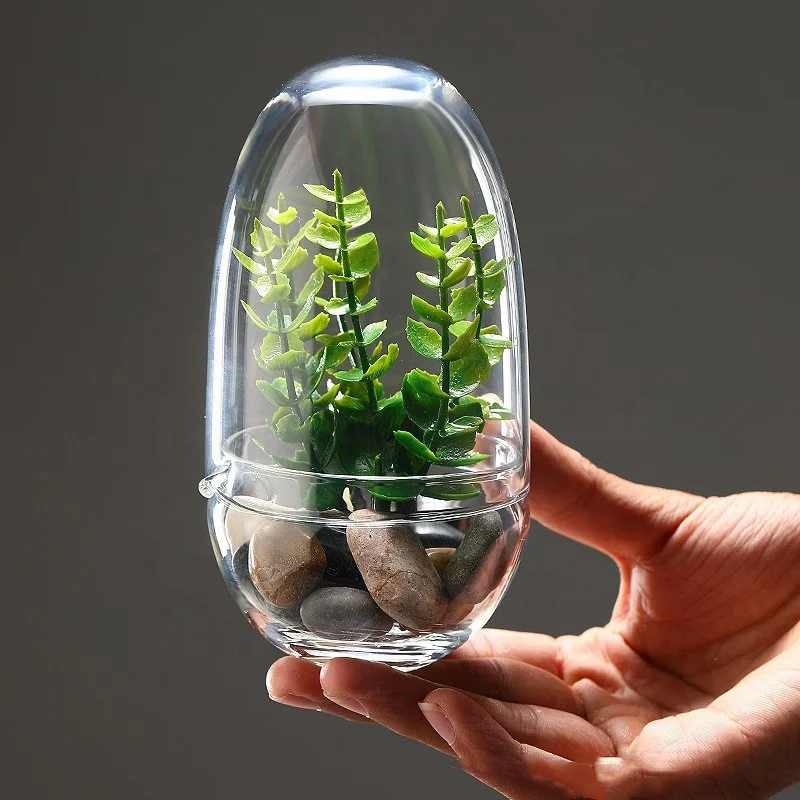 Collection handmade glass cover shade micro landscape ecological bottle ornaments transparent green plant display box dust-proof