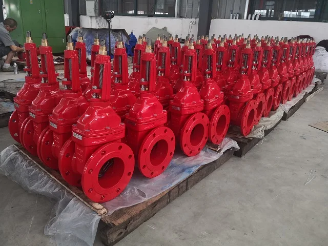 Hot sell 300PSI Groove gate valve with tamper switch FM approved listed