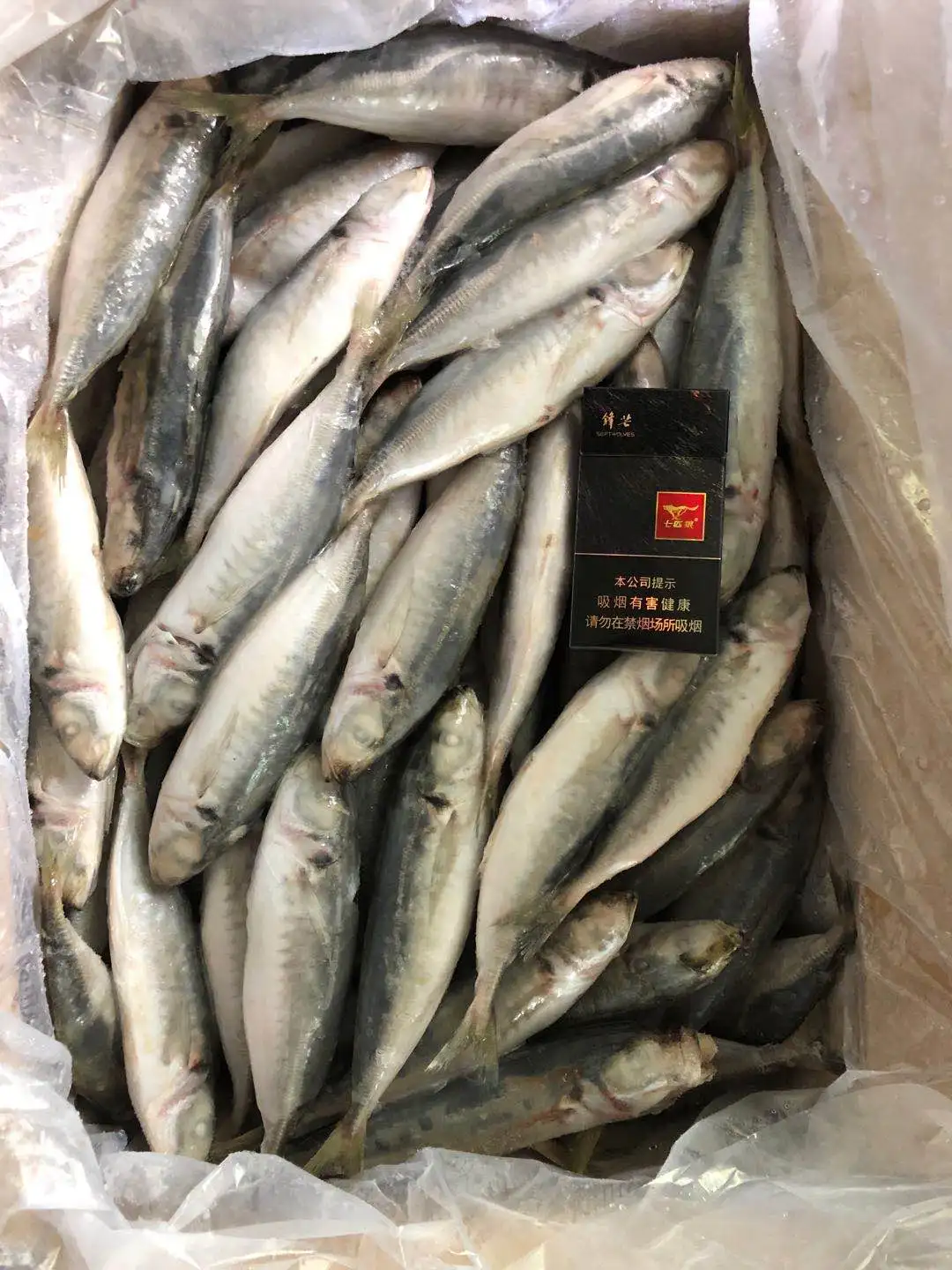 Замороженная круглая скумбрия, тайский рынок