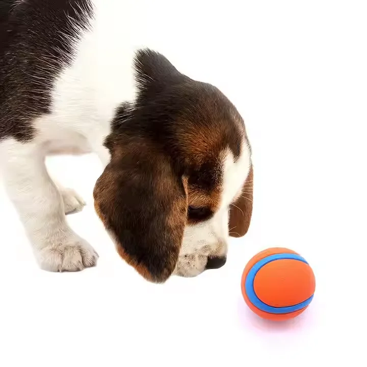Pet Toys  Bouncy Balls for Dogs to Chew and Bite Solid Balls Training Dog Basketball Toys
