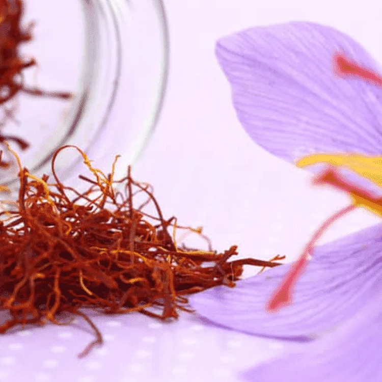 Manufacturer supply premium quality 100% natural Saffron Extract Powder 0.3% safranal