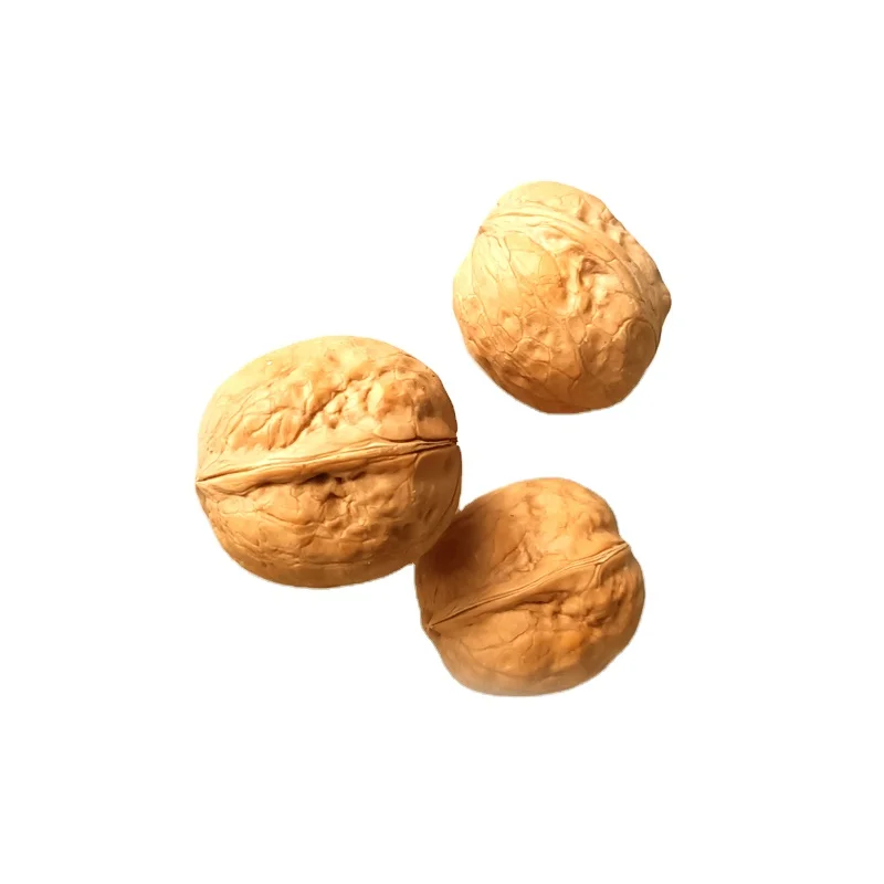 Wholesale Factory Price  185 Type Thin-shell Walnut   Inshell Washed Xinjiang Walnuts