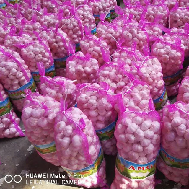 2022 wholesale bulk price Garlic seeds fresh