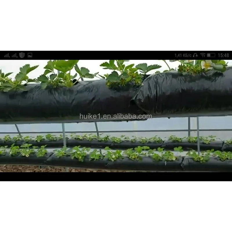  Уличные растительные кокосовые торфяные Клубничные пакеты для