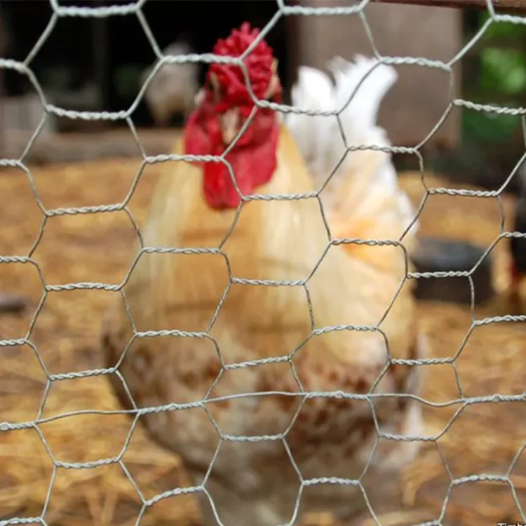 PVC Hexagonal Poultry Netting Chicken Wire easy to install Garden Fencing 36inchx50ft