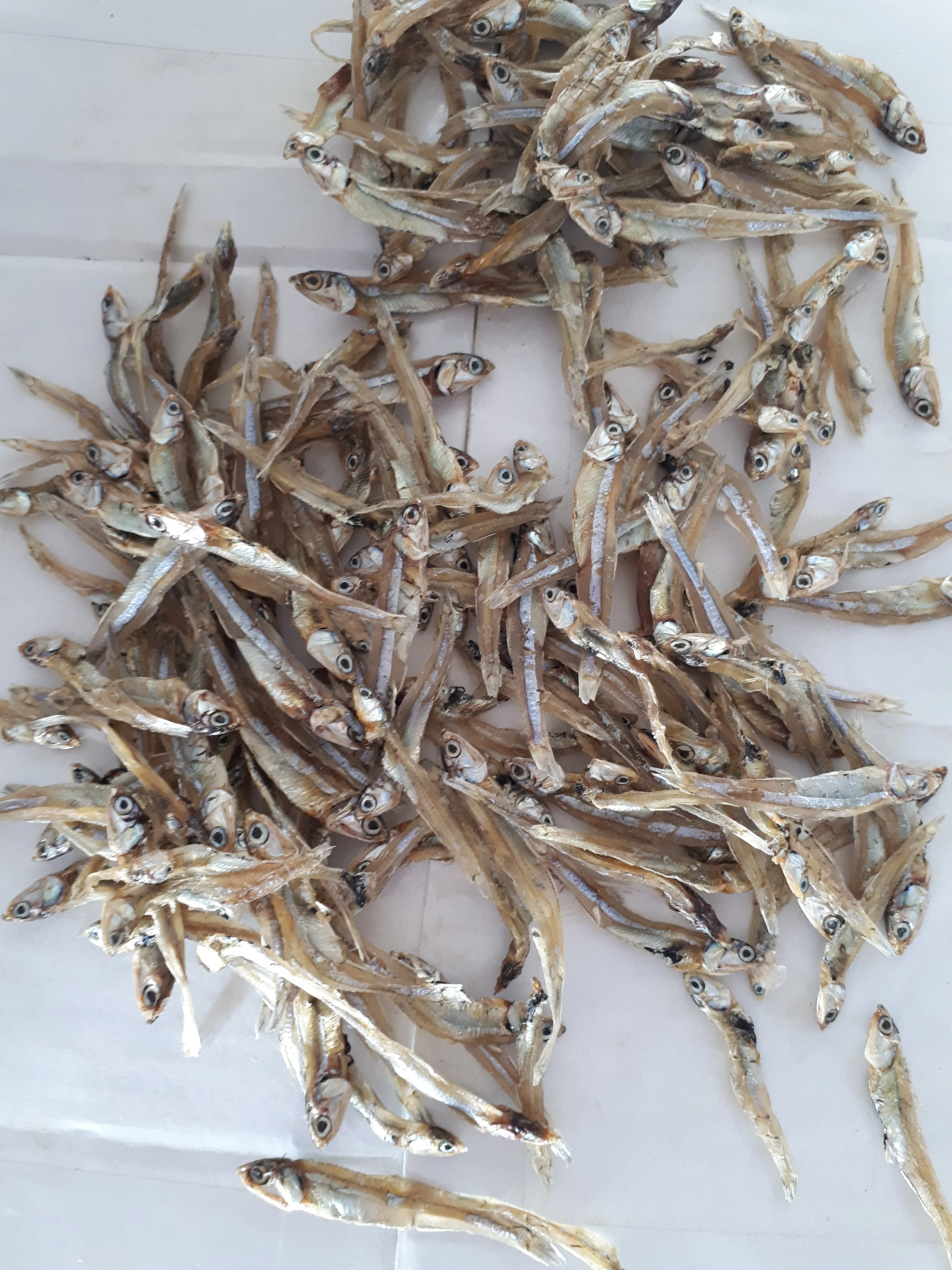 Vietnam Dry Anchovy fish anchois Whole, Headless, Split Anchovy good price - WHATSAP: 0084 989 322 607