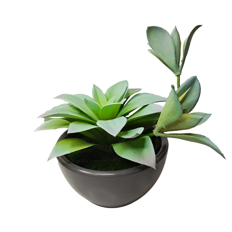
Artificial Light Green Agave Plants Plastic Natural Flowers Faux Succulents Home Garden Decor 