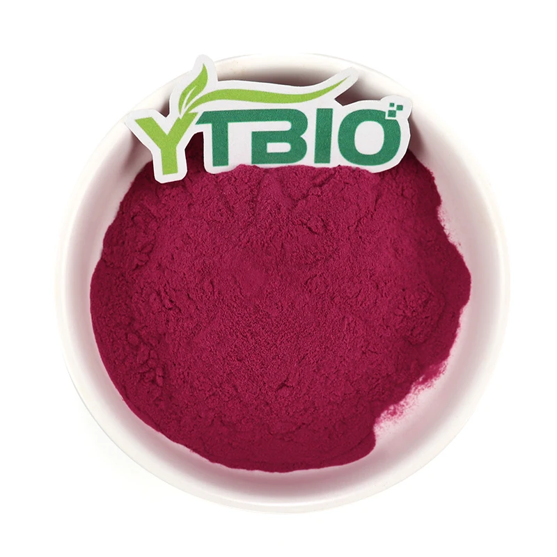
Factory supply blueberry juice powder with the best price 
