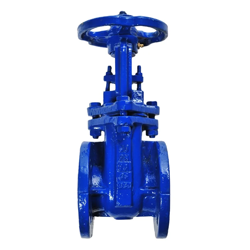 TOPSUN Din3352 Ductile Iron Ggg50 Gate Valve Ductile Iron Gate Valve Price List