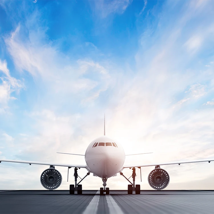 Professional Logistics Services Provide Global Freight Forwarding Services To LCL Shenzhen