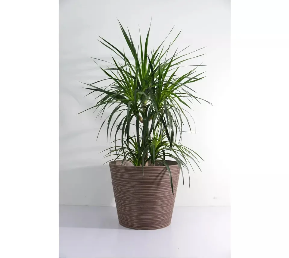 Greenship  indoor outdoor clay flower plastic antique plant pots