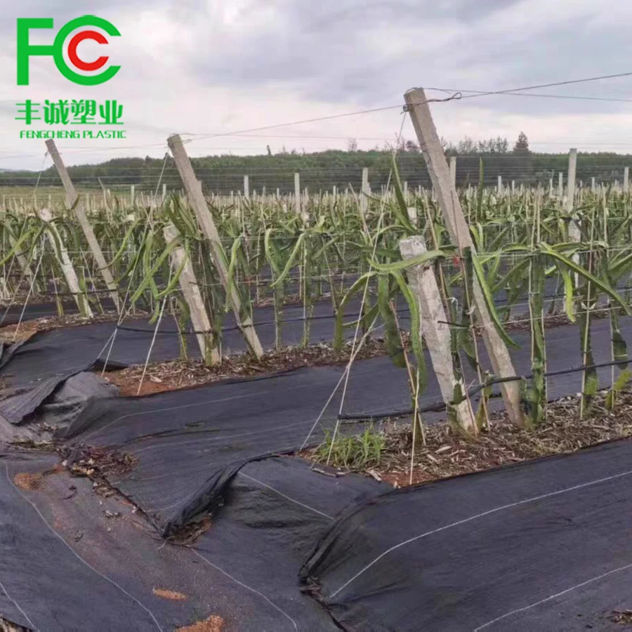 Сетка против сорняков, коврик для клубничных растений, садовая ткань для борьбы с сорняками, лидер продаж