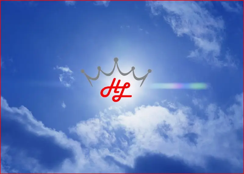 Russia Market Innovative Product MSD 303 PVC Stretch Ceiling Film