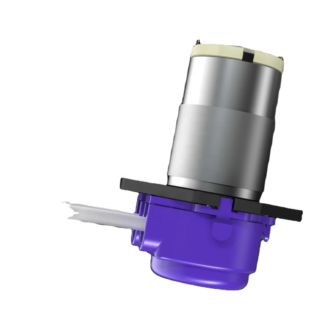 china supplier high pressure plastic mini dc 12v dosing peristaltic pump