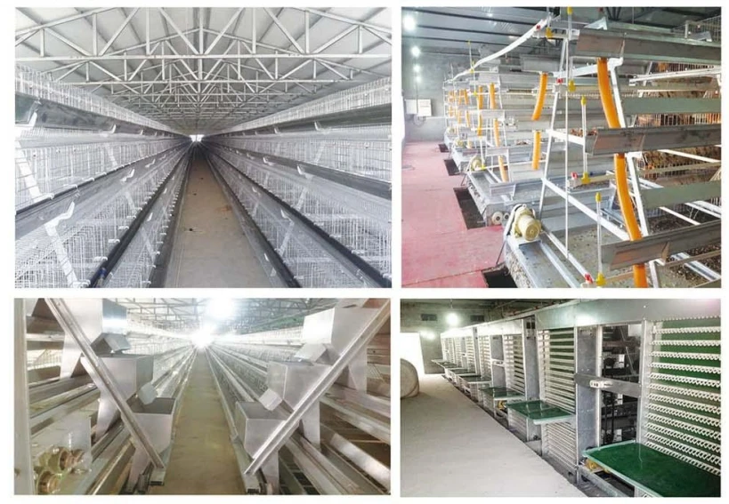 Commercial Chicken Feeding Farm Battery Cages Laying Hens Sell in algeria