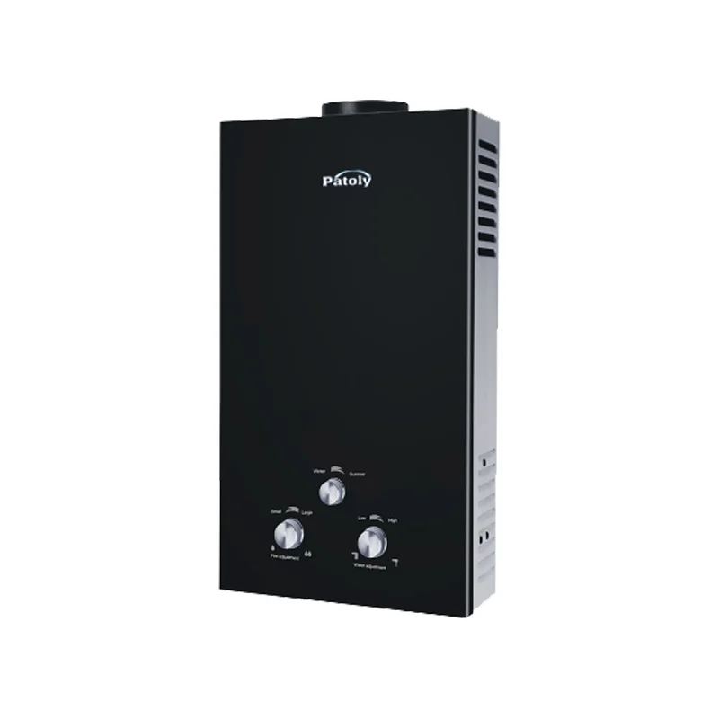 Professional manufacturer 6L 8L 10L 12L household instant gas water heater flue type lpg gas boiler tankless domestic gas geyser