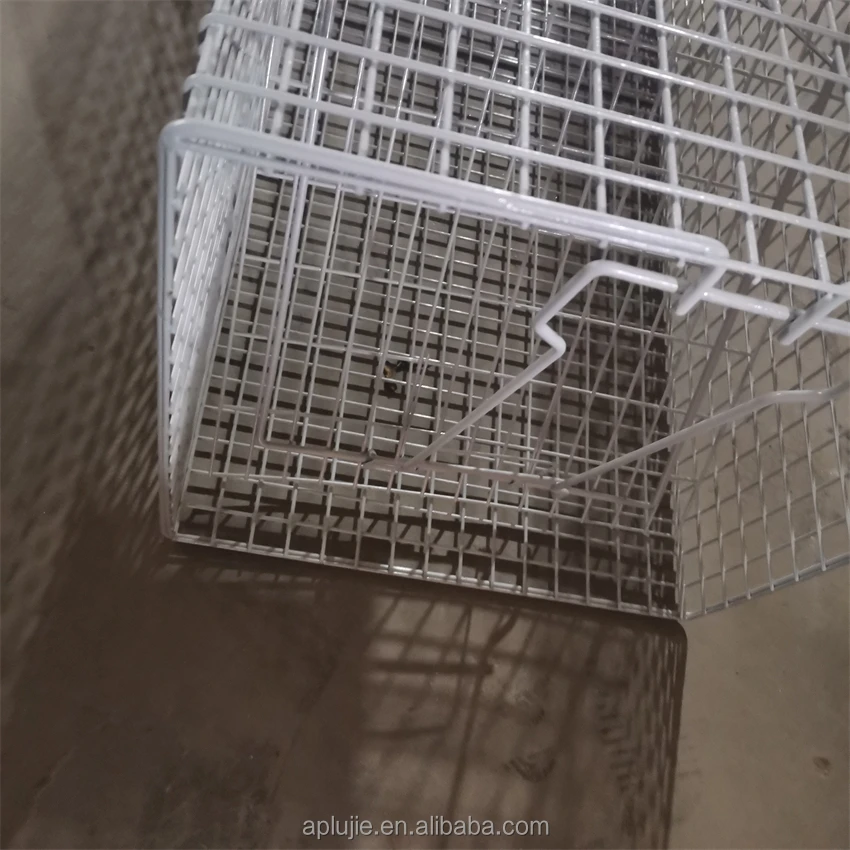 Hot Sale Collapsible Galvanize Trap Cage Catch Snake Cat Mouse Dog Fox Cage Trap