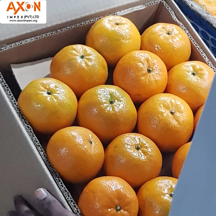 
100% Pure Natural Fresh Citrus Naval Oranges, Valencia Orange, Lemons, Mandarins and Lime 