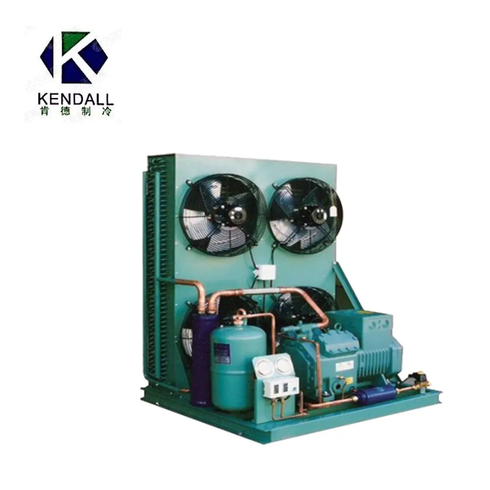 Industrial Air-Cooled and Water-Cooled Refrigeration Condenser Unit Compressor Condensing Unit